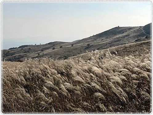 황매산-억새축제