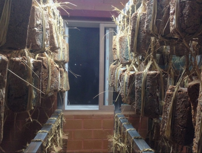 메주-이평강-혜미강