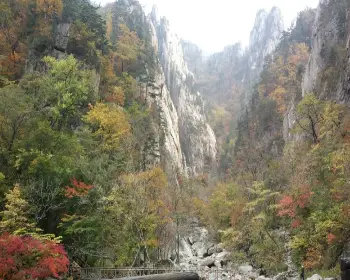 설악산 케이블카_12