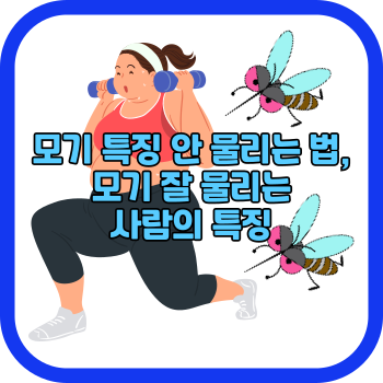 모기 특징 안 물리는 법, 모기 잘 물리는 사람의 특징
