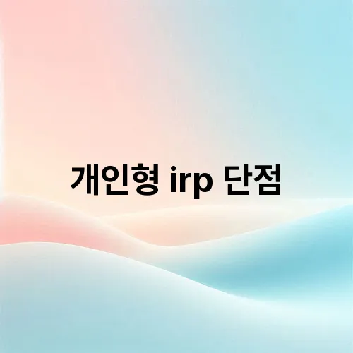 개인형 irp 단점