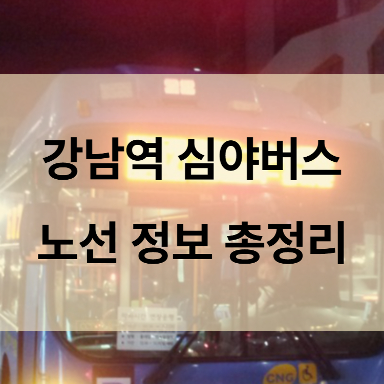 강남역심야버스정보