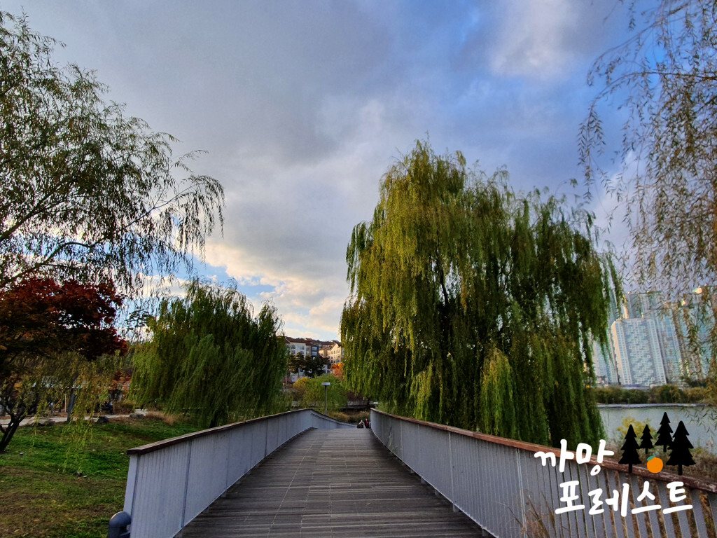 광교호수공원 산책로