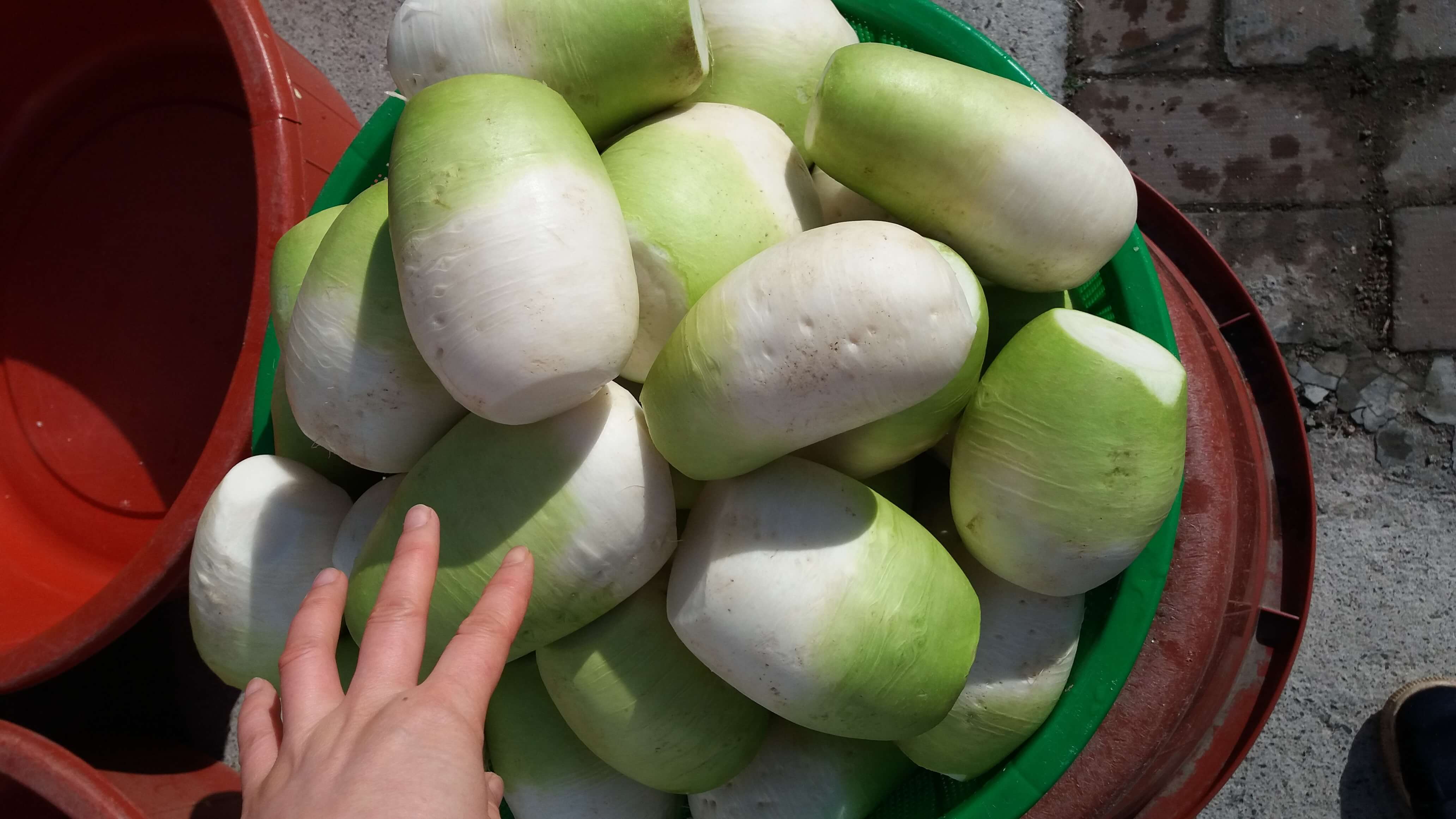 ๊น์ฅ์ฌ๋ฃ