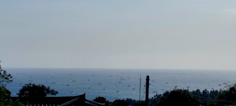 풍랑주의보로 배를 해상 위에 간격을 두고 넓게 펼쳐 놓았다.