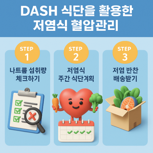 DASH 식단을 활용한 저염식 혈압관리 3단계 인포그래픽