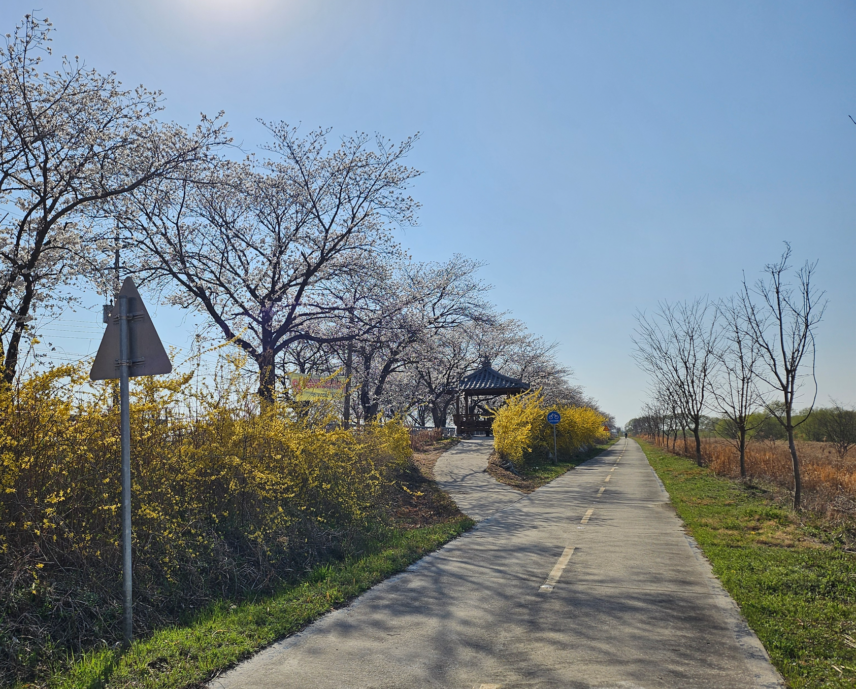 만경강 강변길 자전거 도로 사진