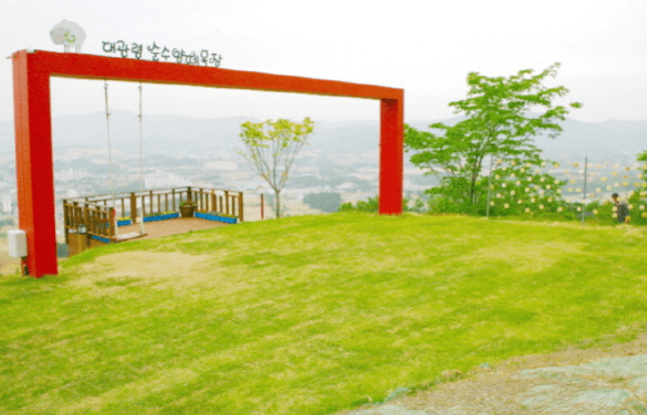 강원도 겨울 반려동물 애견 동반 여행지 추천