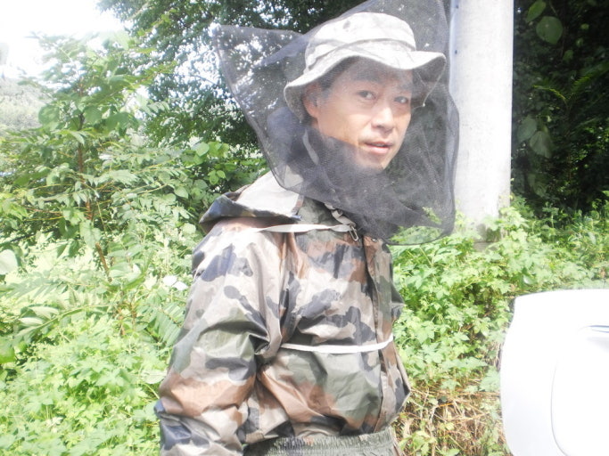 장수말벌 퇴치 작업 중 말벌 사냥꾼의 모습