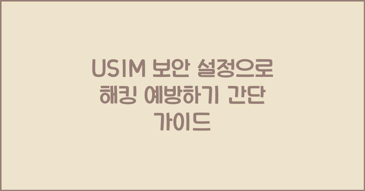 usim 보안 설정