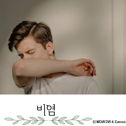 가정용 비염 치료기 추천 치료방법