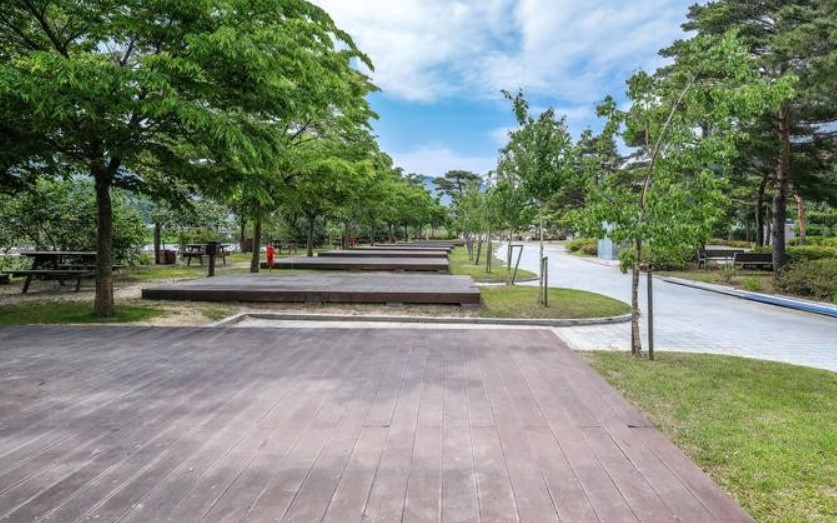 수목화 오토캠핑징