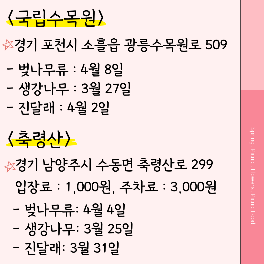 국립수목원 벚꽃 개화시기 축령산 벚꽃 개화시기