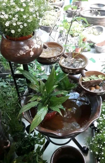 젖은수건 가습 활용 실내습도 유지 분무타이밍 잎끝마름 방지_30