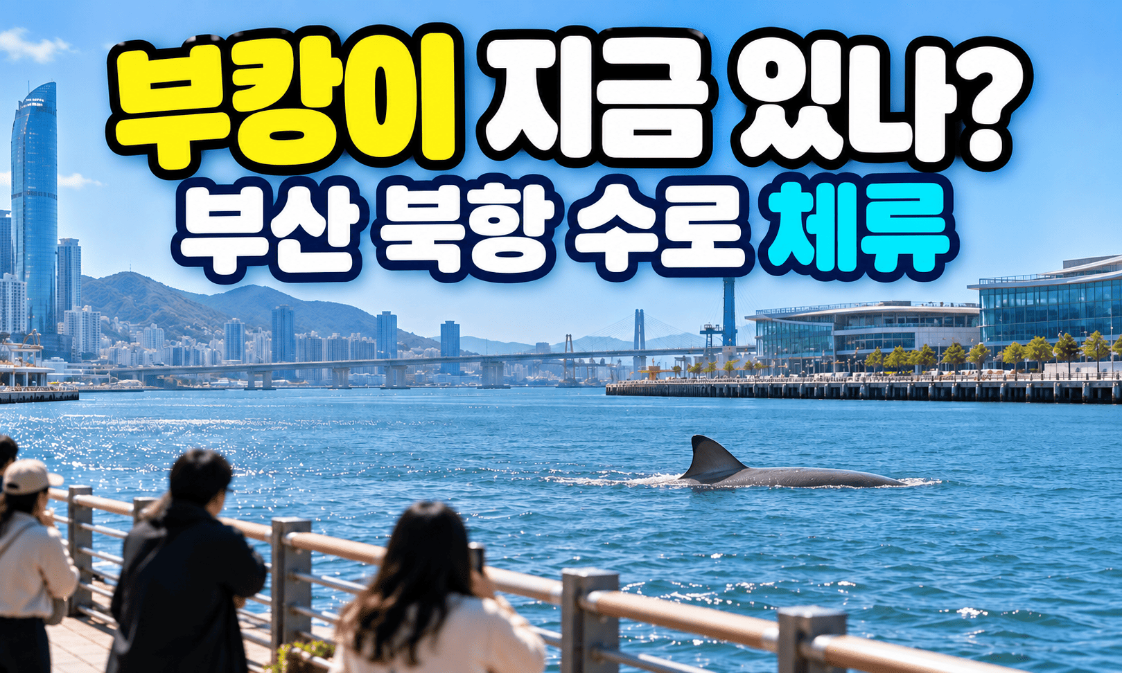 부산 북항친수공원 인공수로에서 멀리 등지느러미를 드러낸 상어를 난간 밖에서 바라보는 장면