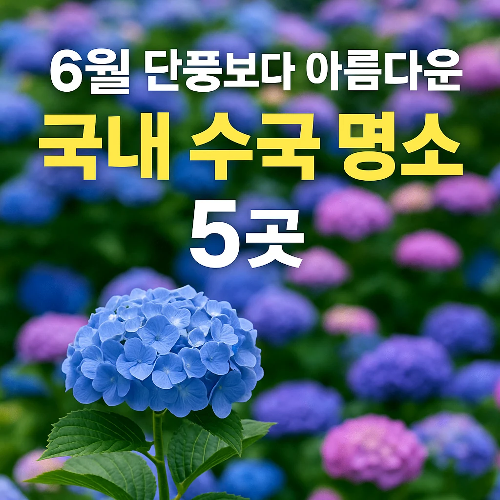 6월 단풍보다 아름다운 국내 수국 명소 5곳