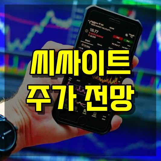 씨싸이트 주가 전망