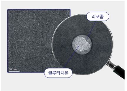 리포좀글루타치온