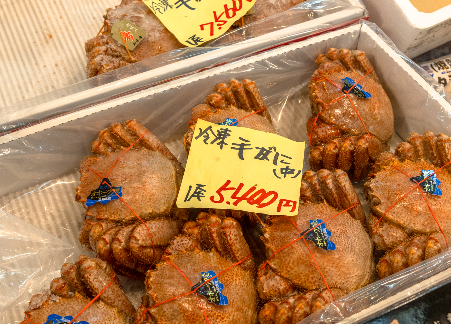 오타루 삼각시장 털게