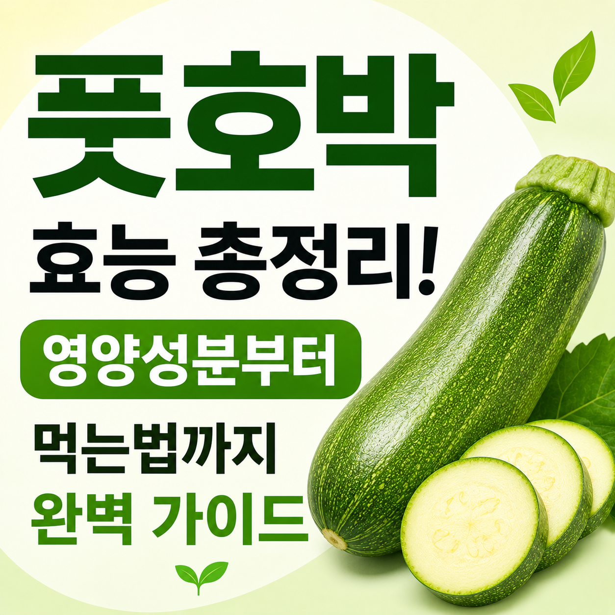 풋호박 효능