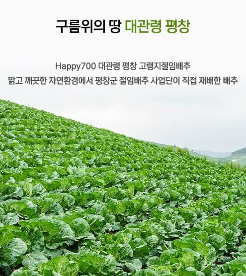 절임배추 20kg 추천