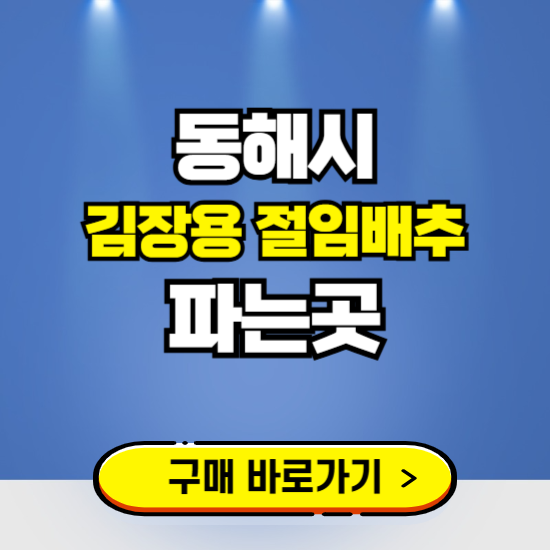동해시 절임배추 사전예약 구입하는곳 ❘ 김장배추 파는곳 가격보기