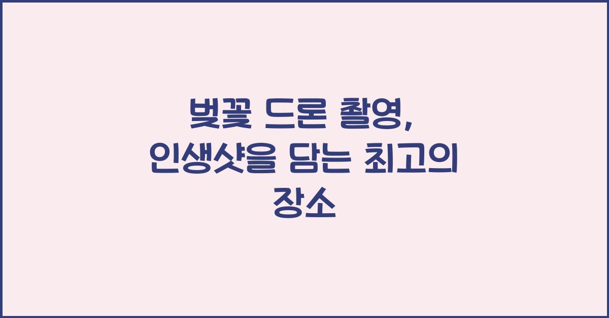 벚꽃 드론 촬영