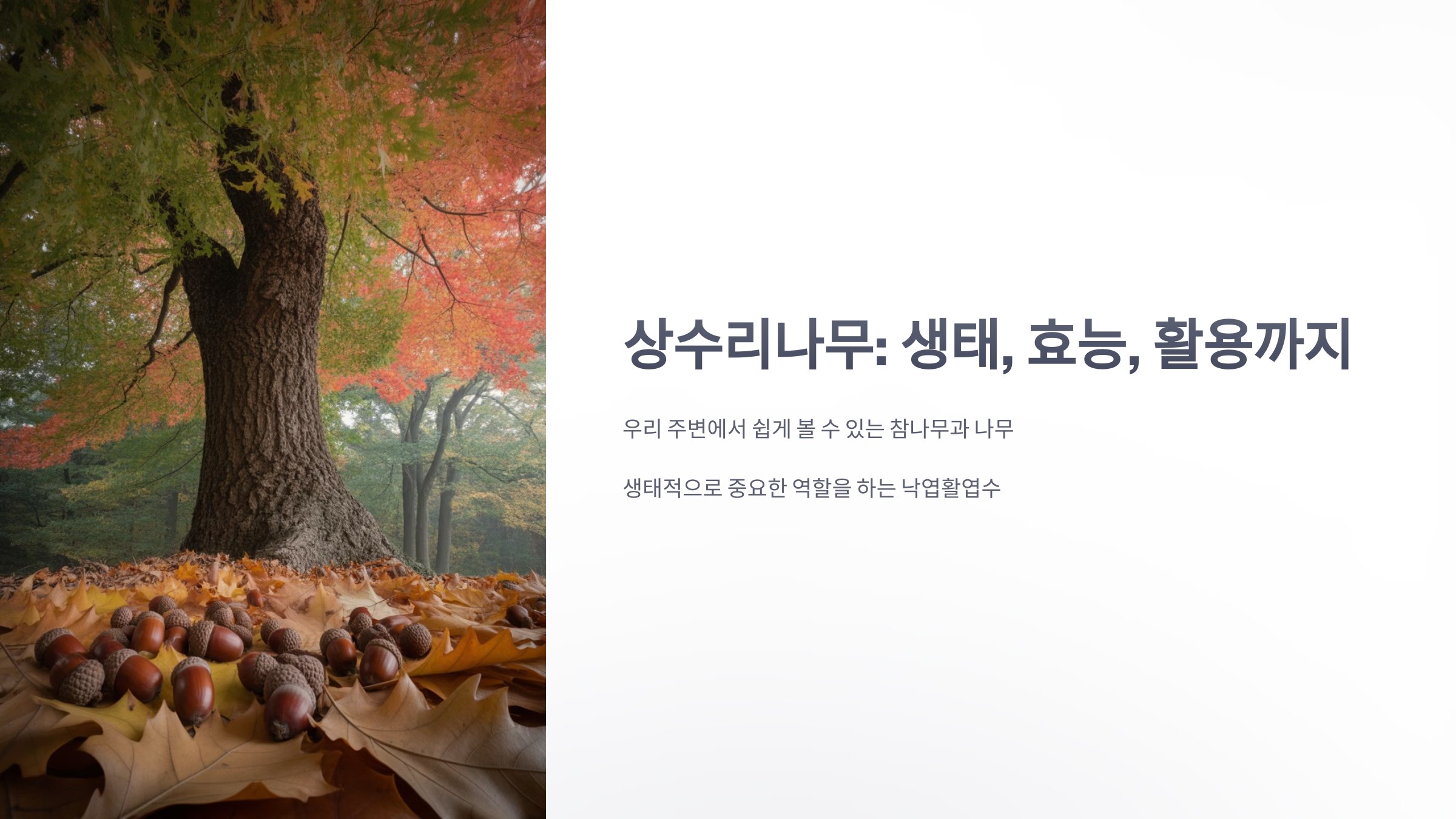 참조-상수리나무-1