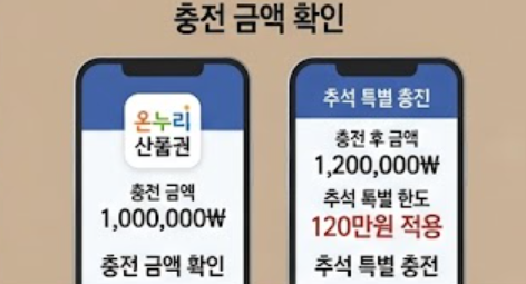 충전된 금액 인포그래픽