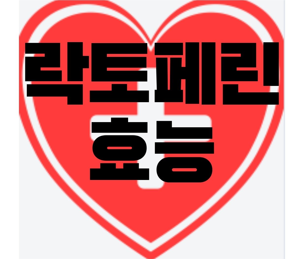 락토페린-효능