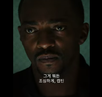 캡틴 아메리카 브레이브 뉴 월드 관람평 후기 &amp;#124; 캡틴 아메리카 평점 쿠키 &amp;#124; 영화 예매 할인 