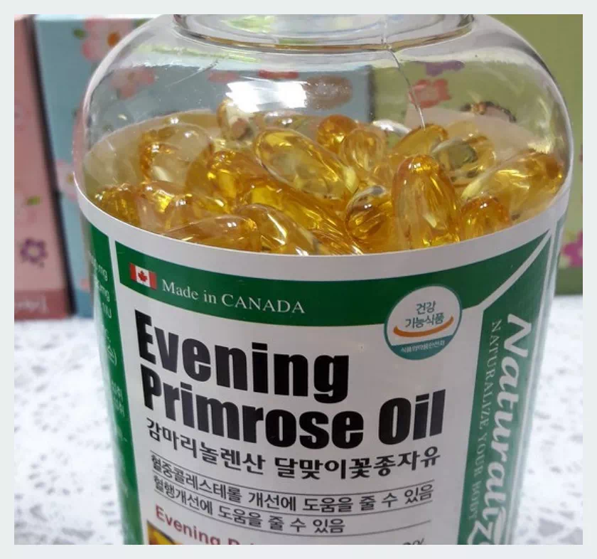 감마리놀렌산