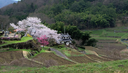 2024 시골살이 트렌드 (전원주택, 텃밭, 친환경)