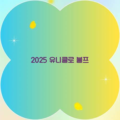 2025 유니클로 블프