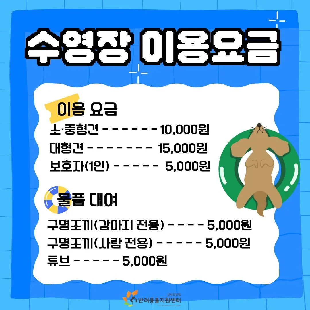 강아지 수영장 이용 요금