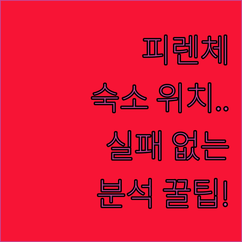이탈리아 피렌체 캄포 디 마르테 숙소..