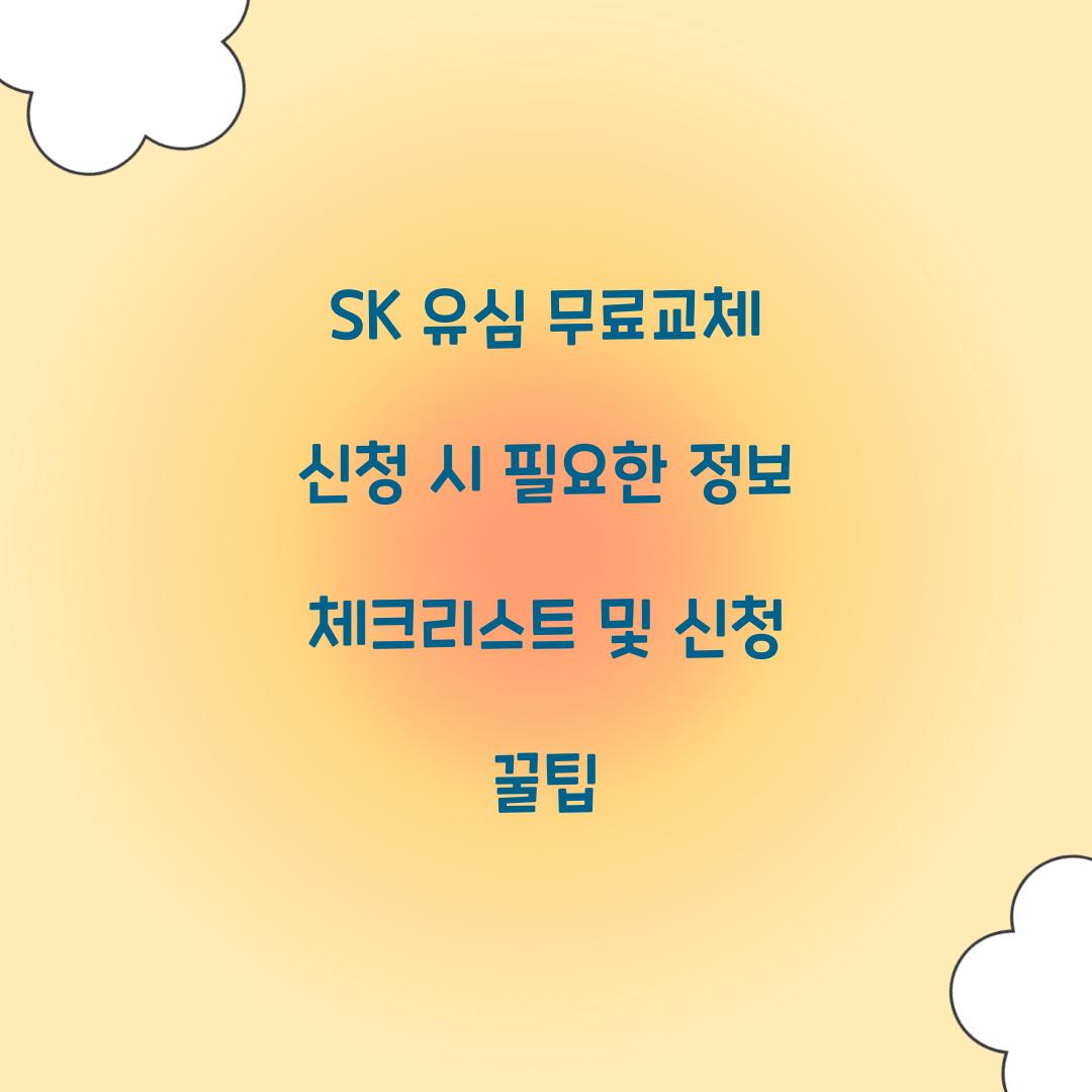 SK 유심 무료교체 신청 시 필요한 정보 체크리스트