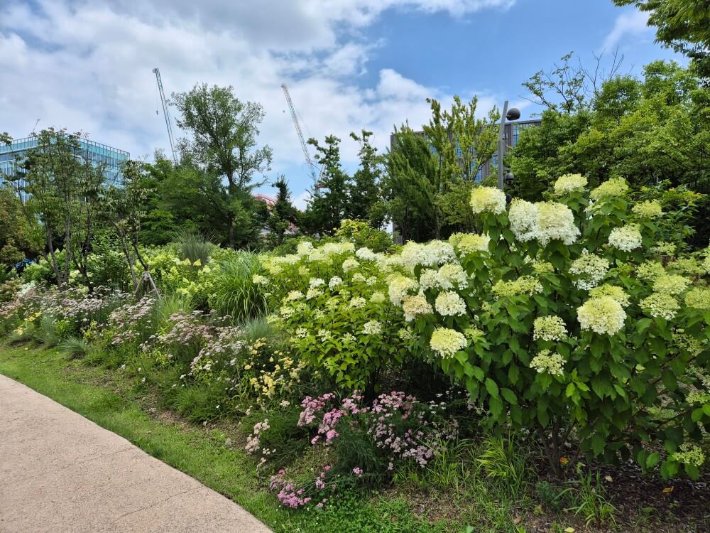 서울식물원 관련 사진7