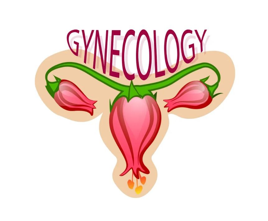 여성 자궁 이미지