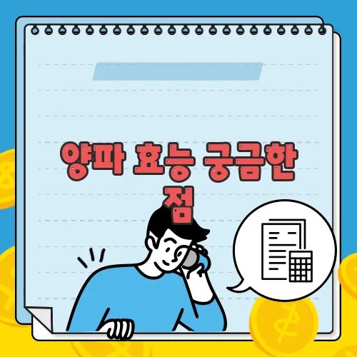 양파 효능 궁금한 점, 풀어보죠