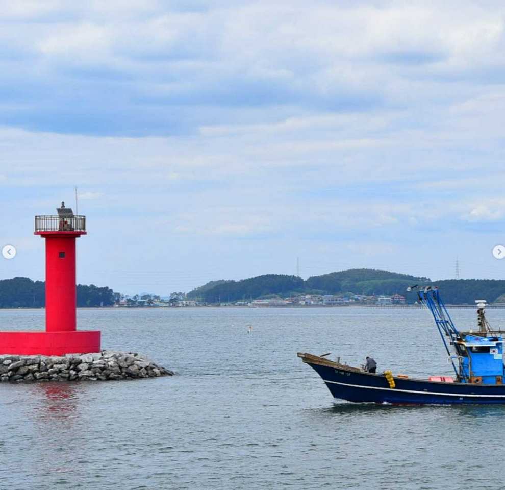서천 자연산 광어 도미 축제 기본정보