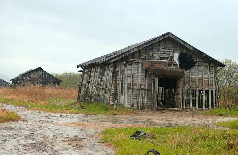 인천 소래습지생태공원 봄 나들이