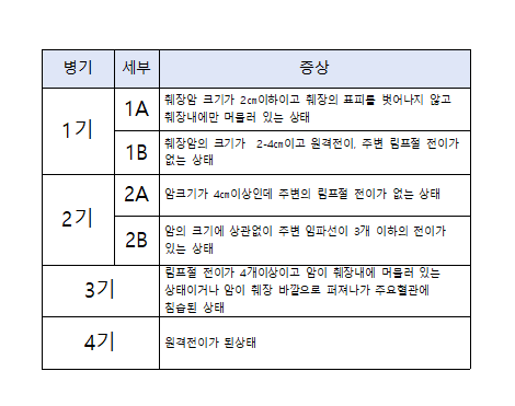췌장암 병기와 수술 가능 여부