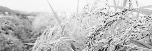 농업경영체 신청 대상