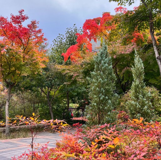 경기도 이색 데이트