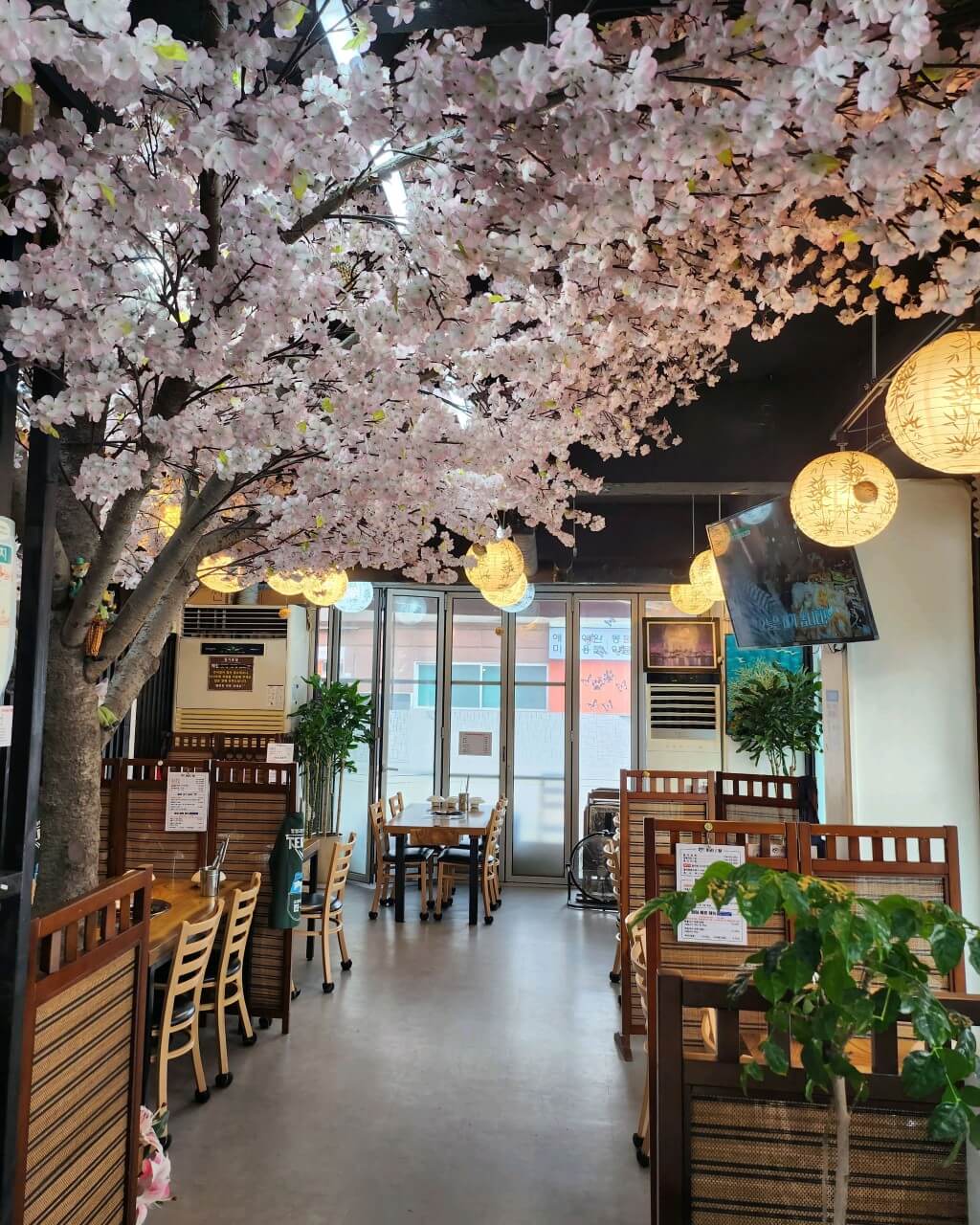 오늘N 한 끼에 얼마예요? 서울 양천구 복어요리 맛집 승아복집 오늘N 2497회 