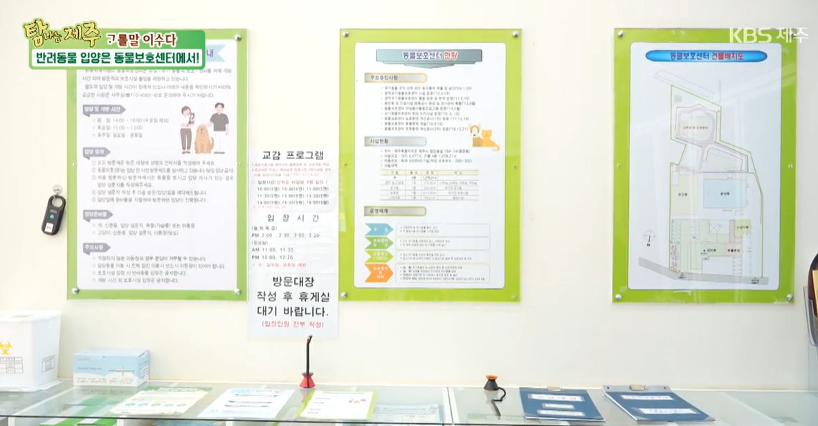 제주동물보호센터 사진