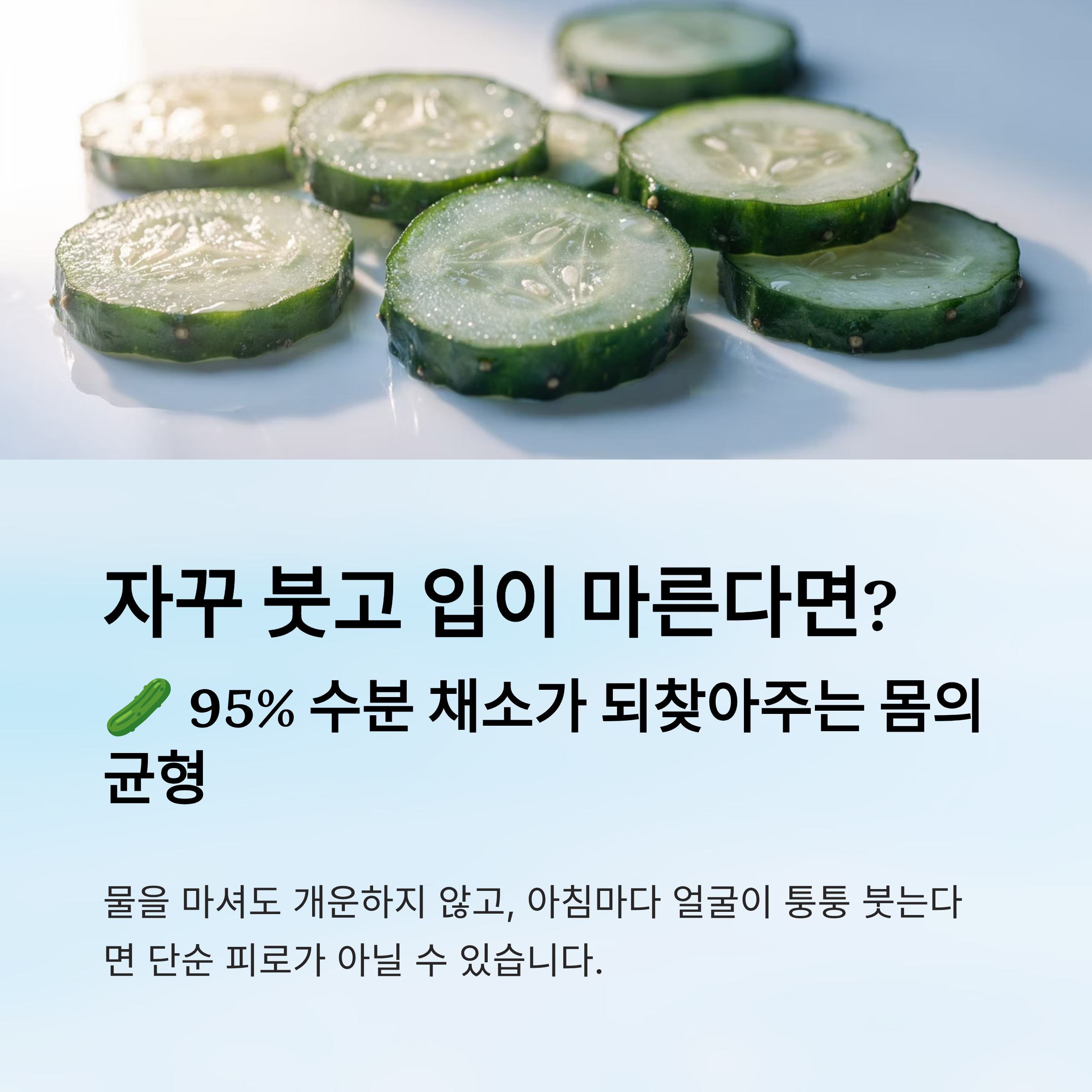 자꾸 붓고 입이 마른다면? 95% 수분 채소가 되찾아주는 몸의 균형
