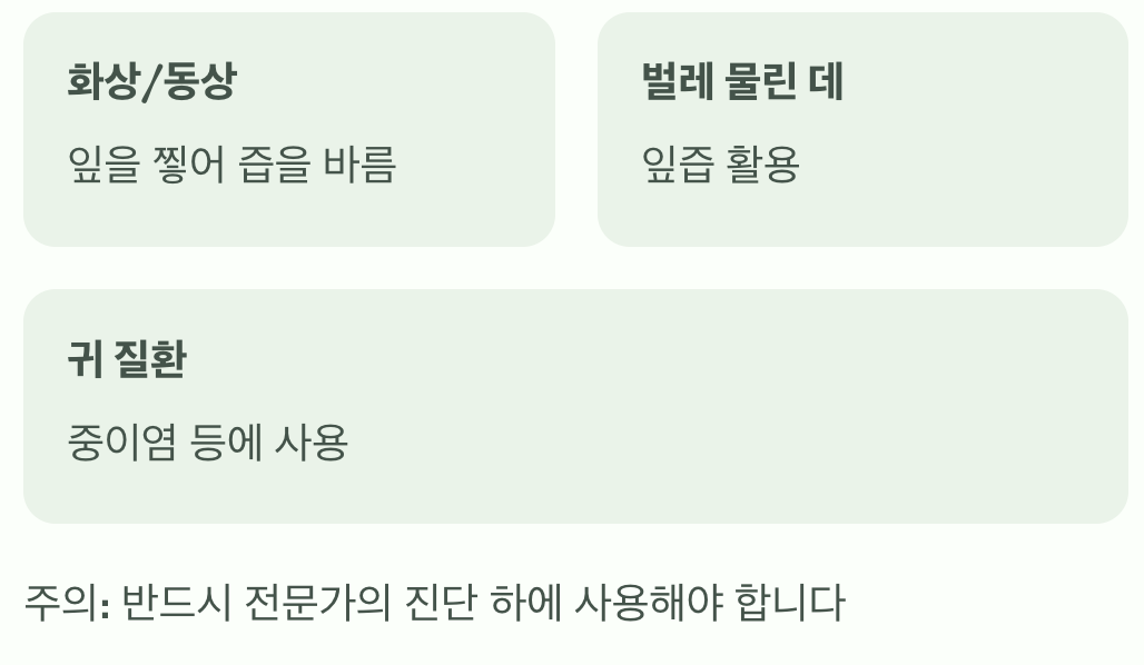 알고 보면 '약초', 우리 조상들의 지혜