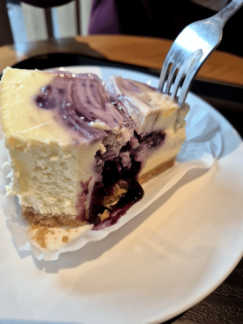 관저동 스타벅스 블루베리 마블 치즈케이크